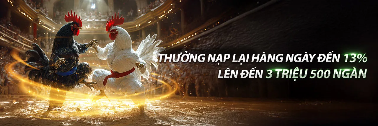 Tổng quan các loại trò chơi cá cược đa dạng tại xin888